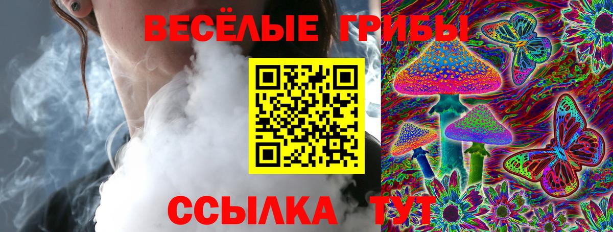 Псилоцибиновые грибы Magic Shrooms  Вход с VPN  Псилоцибиновые грибы Psilocybine cubensis  Звенигород 