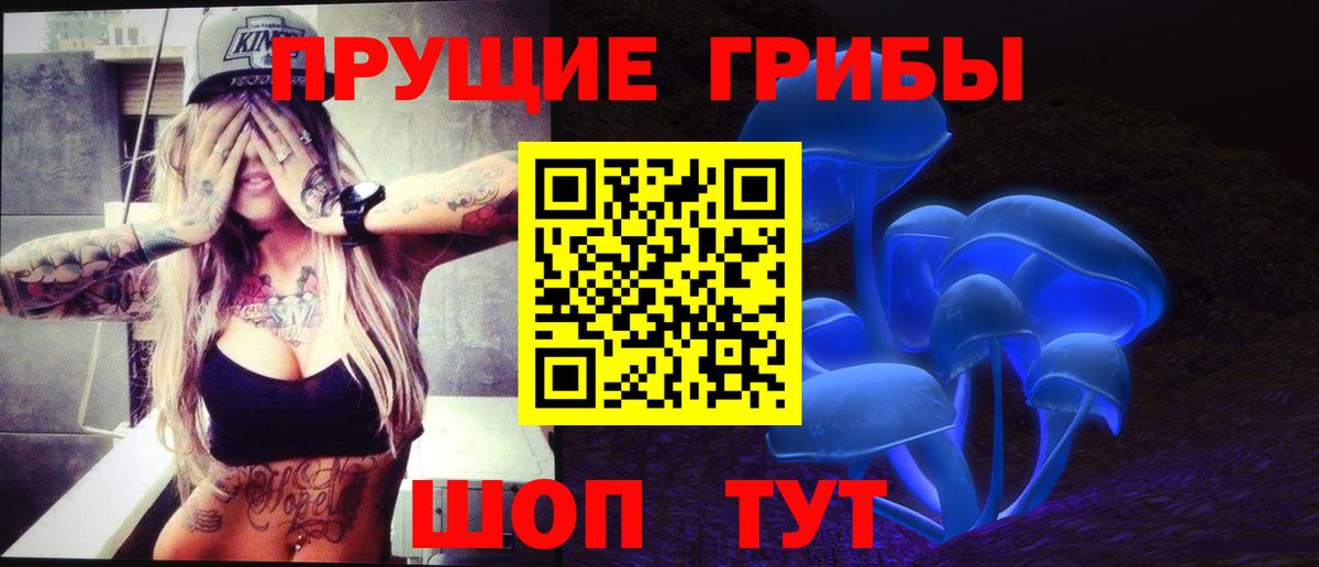 Галлюциногенные грибы Psilocybine cubensis Звенигород